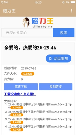 磁力王