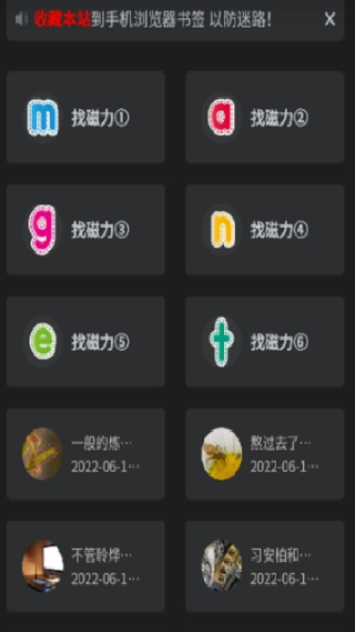 磁力王