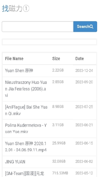 磁力王