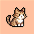 豆画app