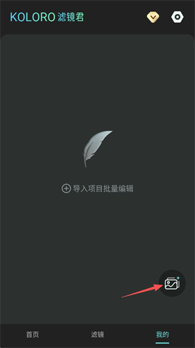 Koloro滤镜君