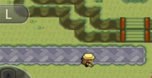 口袋妖怪最强进化准神版