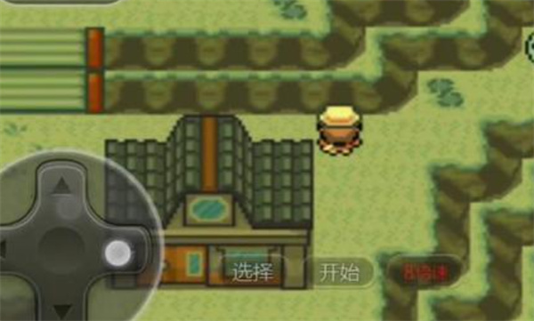 口袋妖怪最强进化准神版