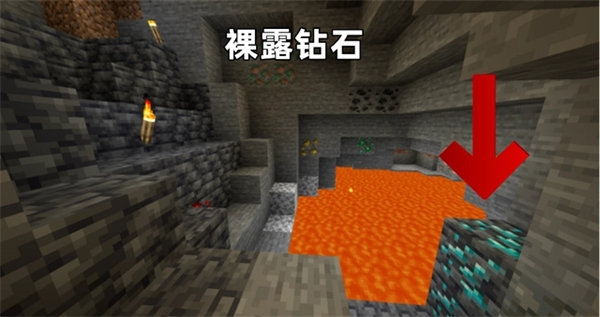 我的世界1.21.10