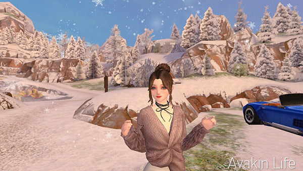 AvakinLife