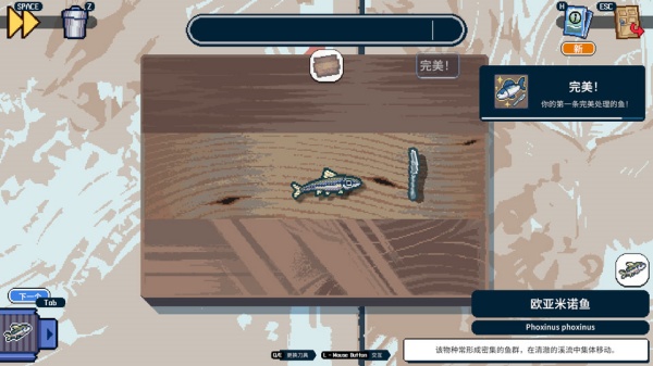深海刮刮乐模拟器