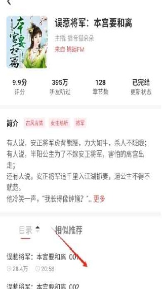 口袋畅听
