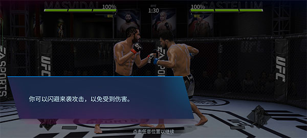 UFC终极斗士