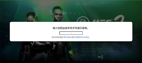 UFC终极斗士