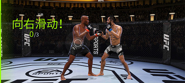 UFC终极斗士