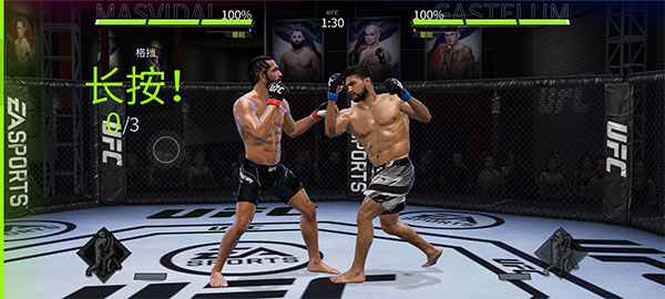UFC终极斗士