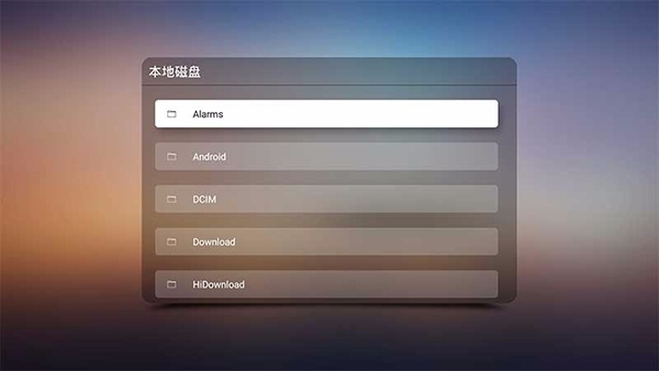 RMVB播放器TV版