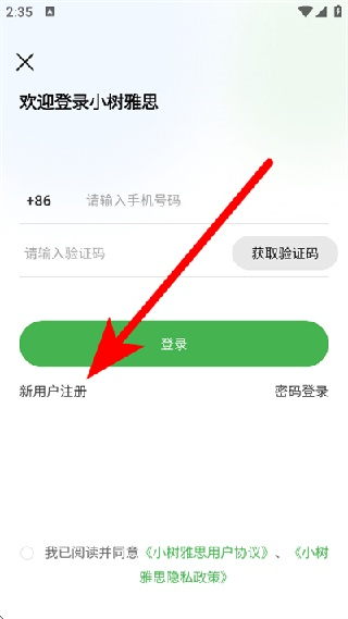 小树雅思
