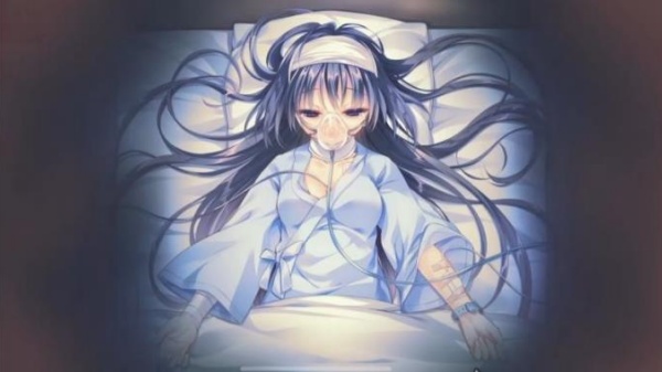 染成红色的真爱百合冷狐版