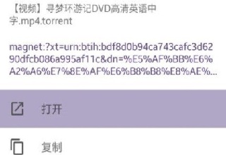 Ciliba磁力猫旧版本