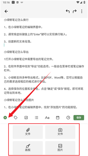 小绿鲸