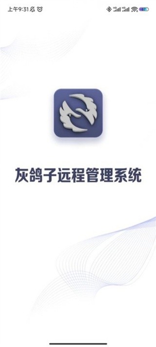 灰鸽子员工端