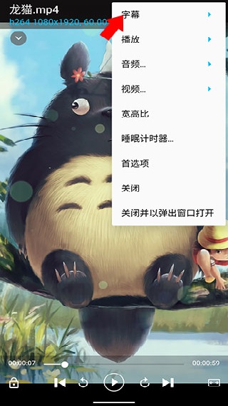 BSPlayer中文版