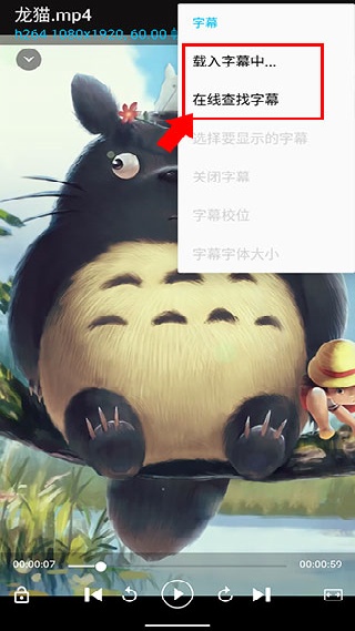 BSPlayer中文版