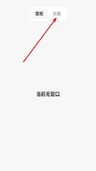 闪速浏览器手机版