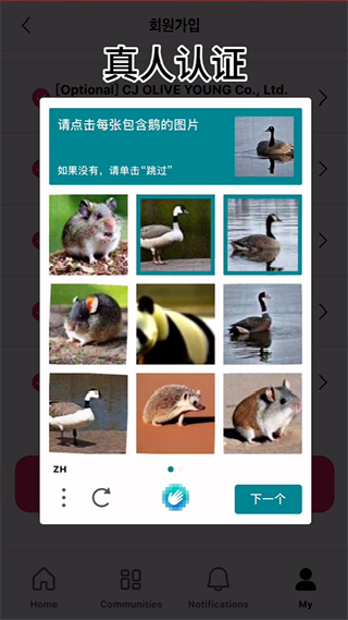 MnetPlus全球版