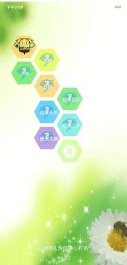 蜂巢迷宫