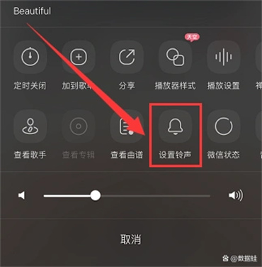 库乐队