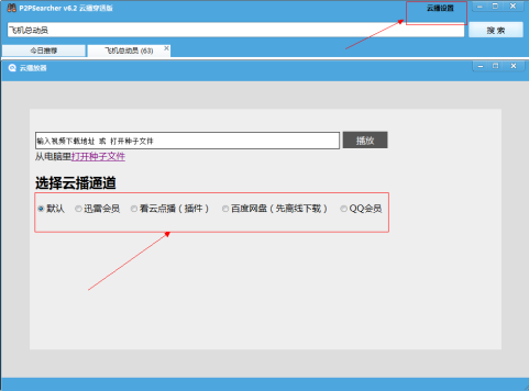 P2Psearcher种子搜索器怎么用