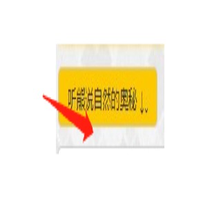 熊曰翻译器最新版