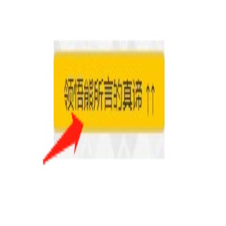 熊曰翻译器最新版