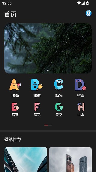 布丁壁纸车机版