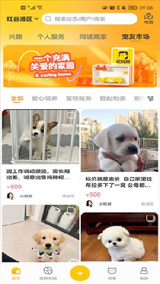 宠胖胖最新版
