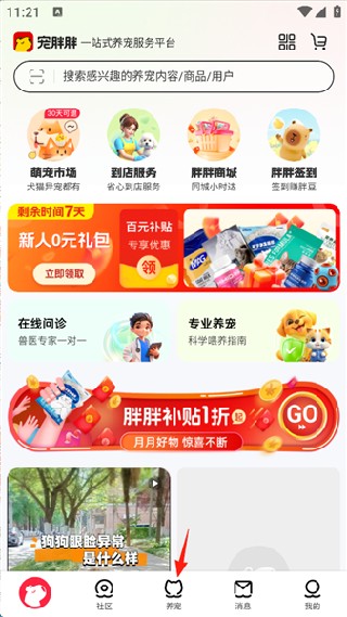 宠胖胖最新版