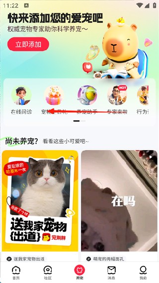 宠胖胖最新版