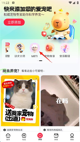 宠胖胖最新版