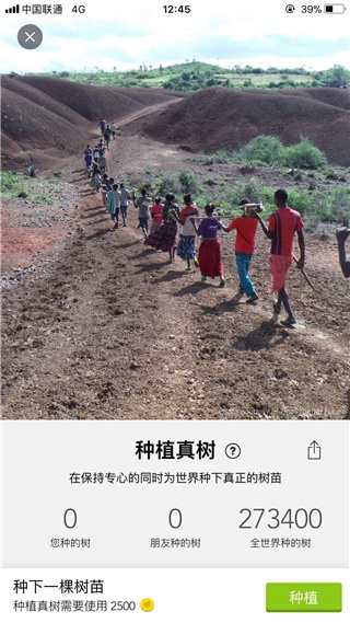 Forest专注森林