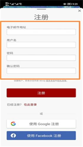 Windy卫星云图中文版