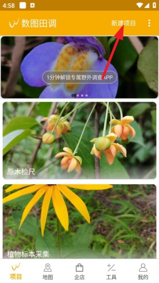 数图田调