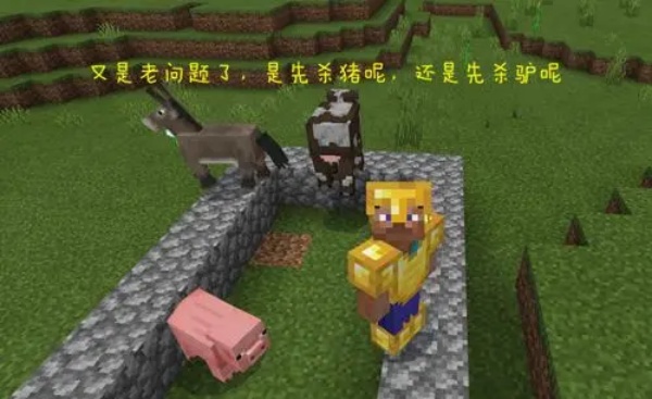 我的世界超真实生存