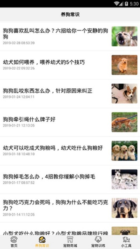 狗语翻译器中文版