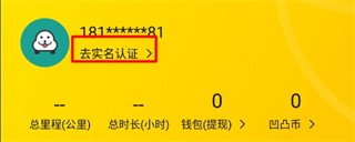 凹凸共享租车