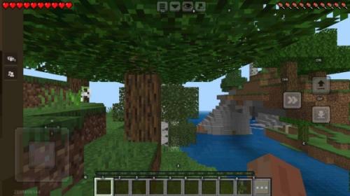 我的世界1.19版