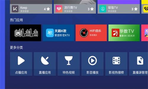 沙发管家比亚迪车机版