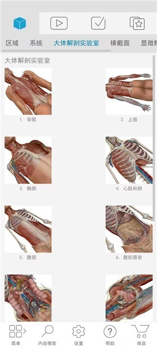 Atlas人体解剖学图谱2021版