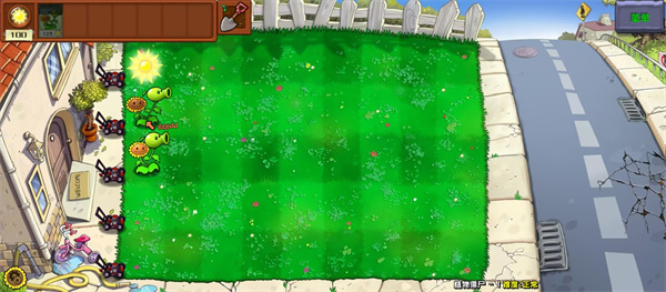 植物大战僵尸杂交重制版0.24