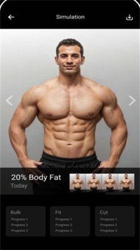 GIGABODY