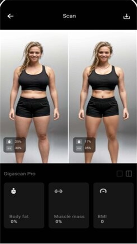GIGABODY