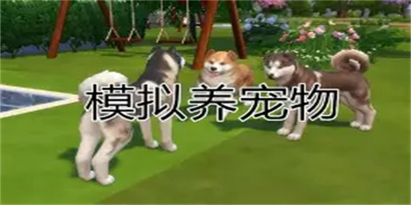培养宠物游戏合集