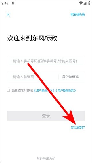 东风标致