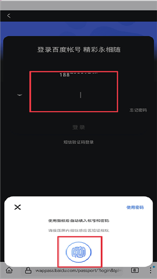 Fox浏览器国际版